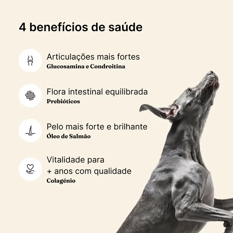 Imagem do produto 4