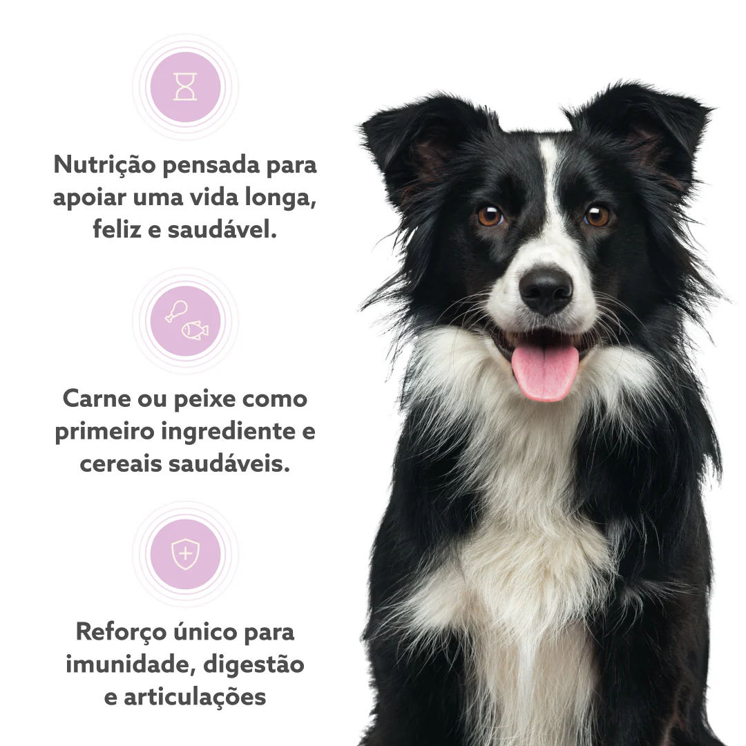 Imagem do produto 3